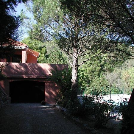 Chambres D'Hote L'Amandiere A Cucugnan Exterior photo